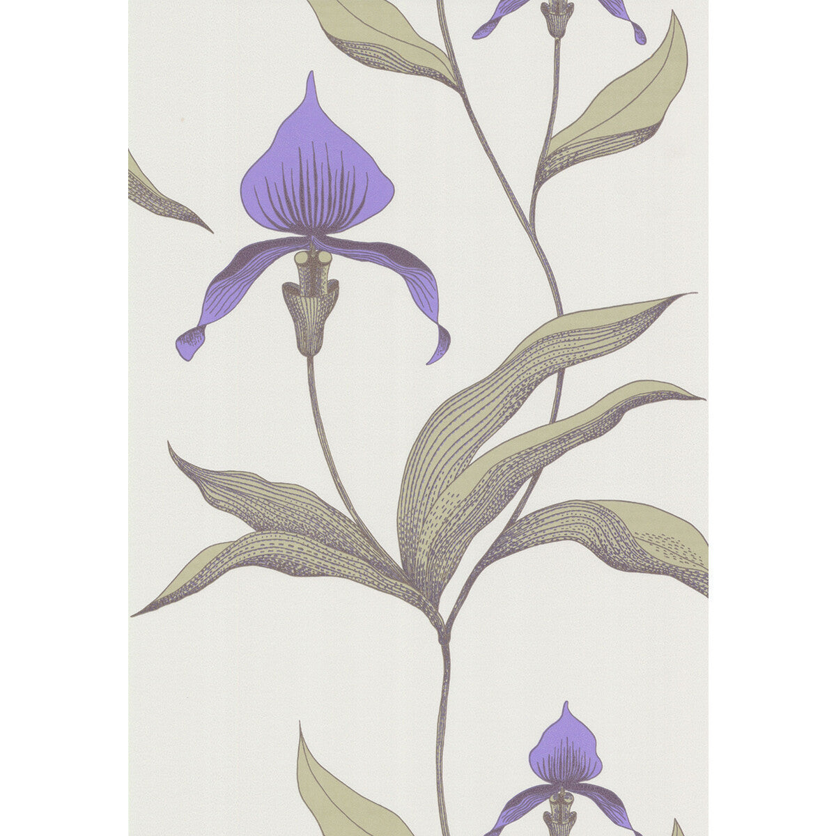 664024cs0-orchid-whitem-cole-son - COLE & SON Wallpaper