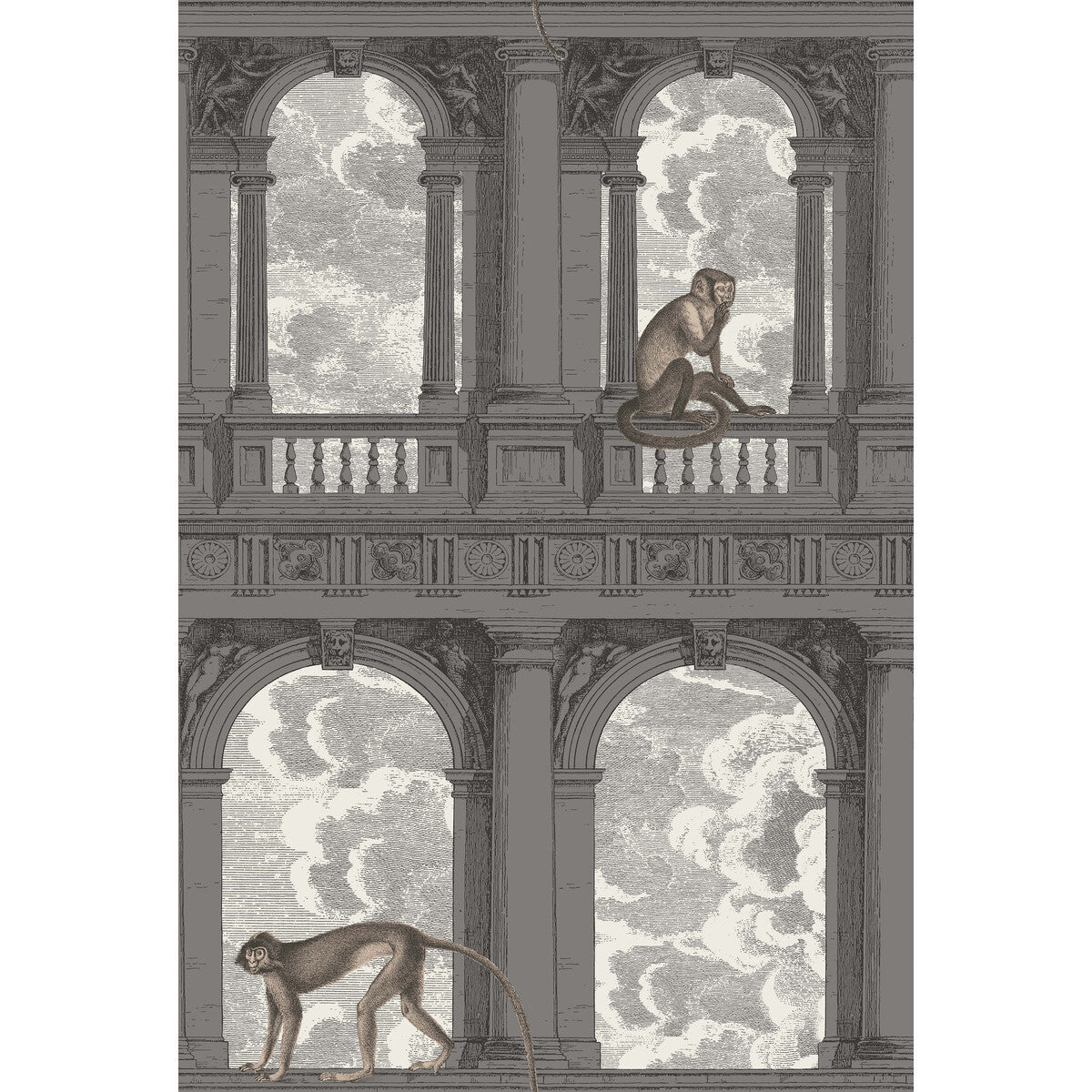 1148016cs0-procuratie-con-vista-soot-snow-cole-son