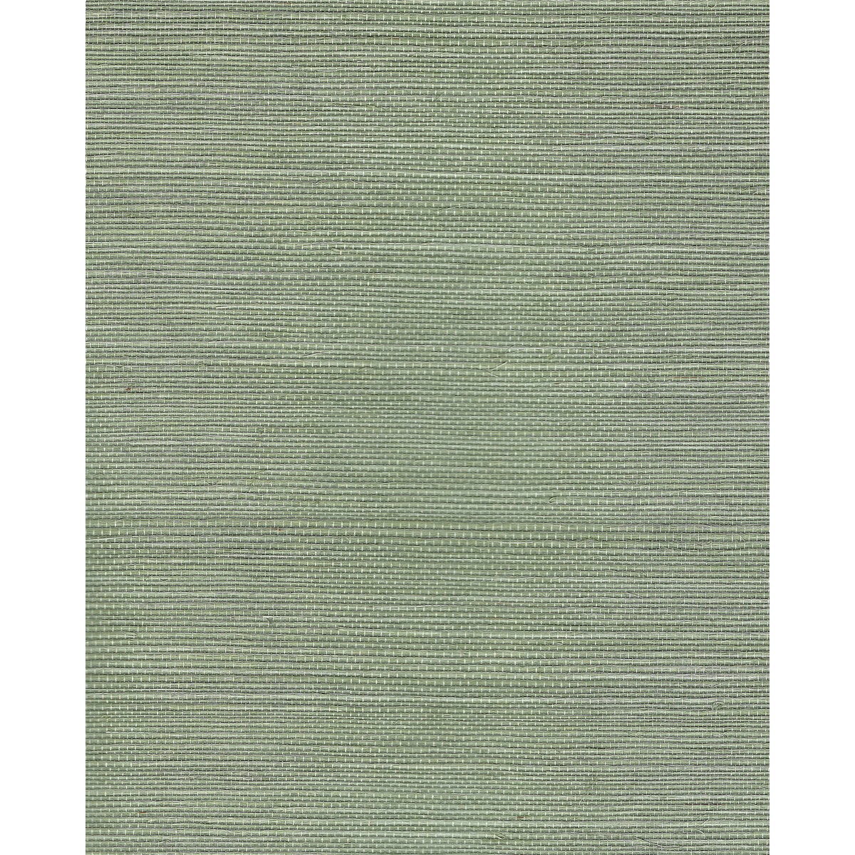 wnr2107wt0-chiyo-sisal-sprig-winfield-thybony - WINFIELD THYBONY Wallpaper