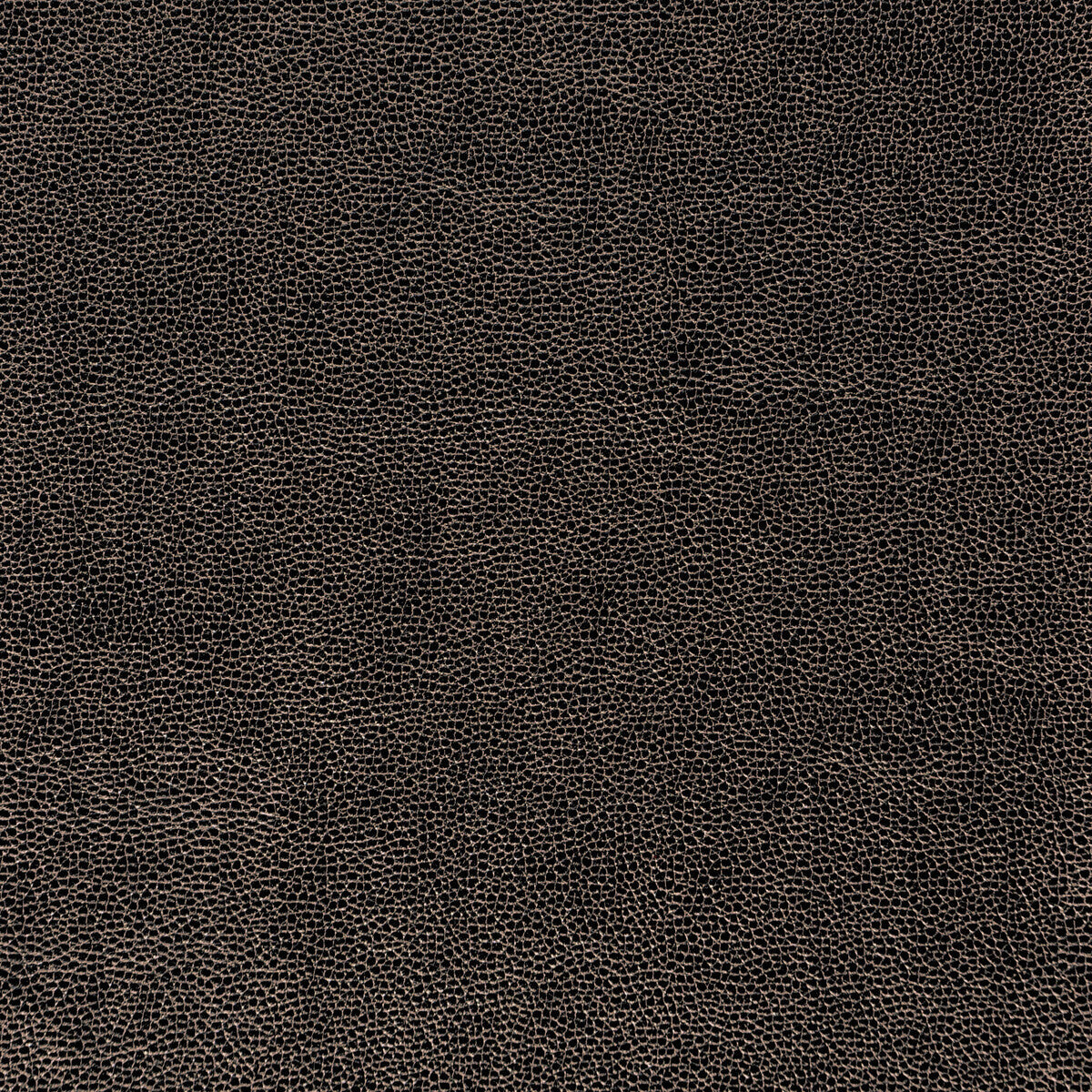sparta8110-kravet-design-sparta-811-kravet-design