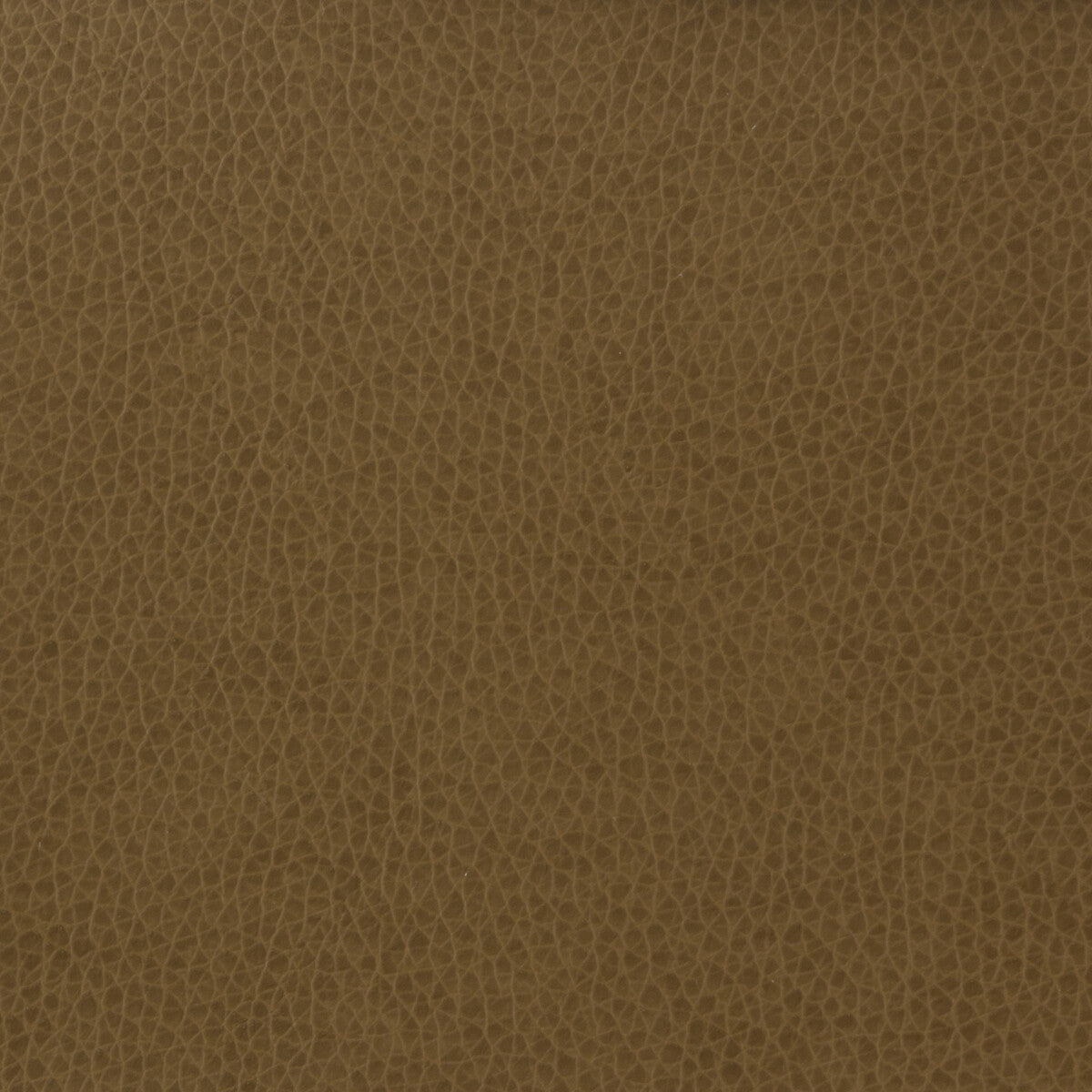 matter6060-kravet-basics-matter-606