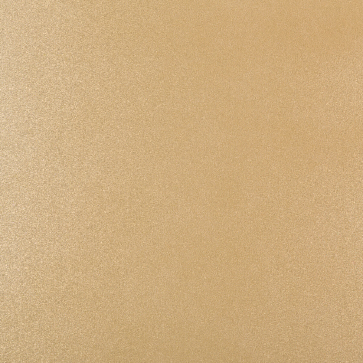 frankel160-kravet-design-frankel-16-kravet-design