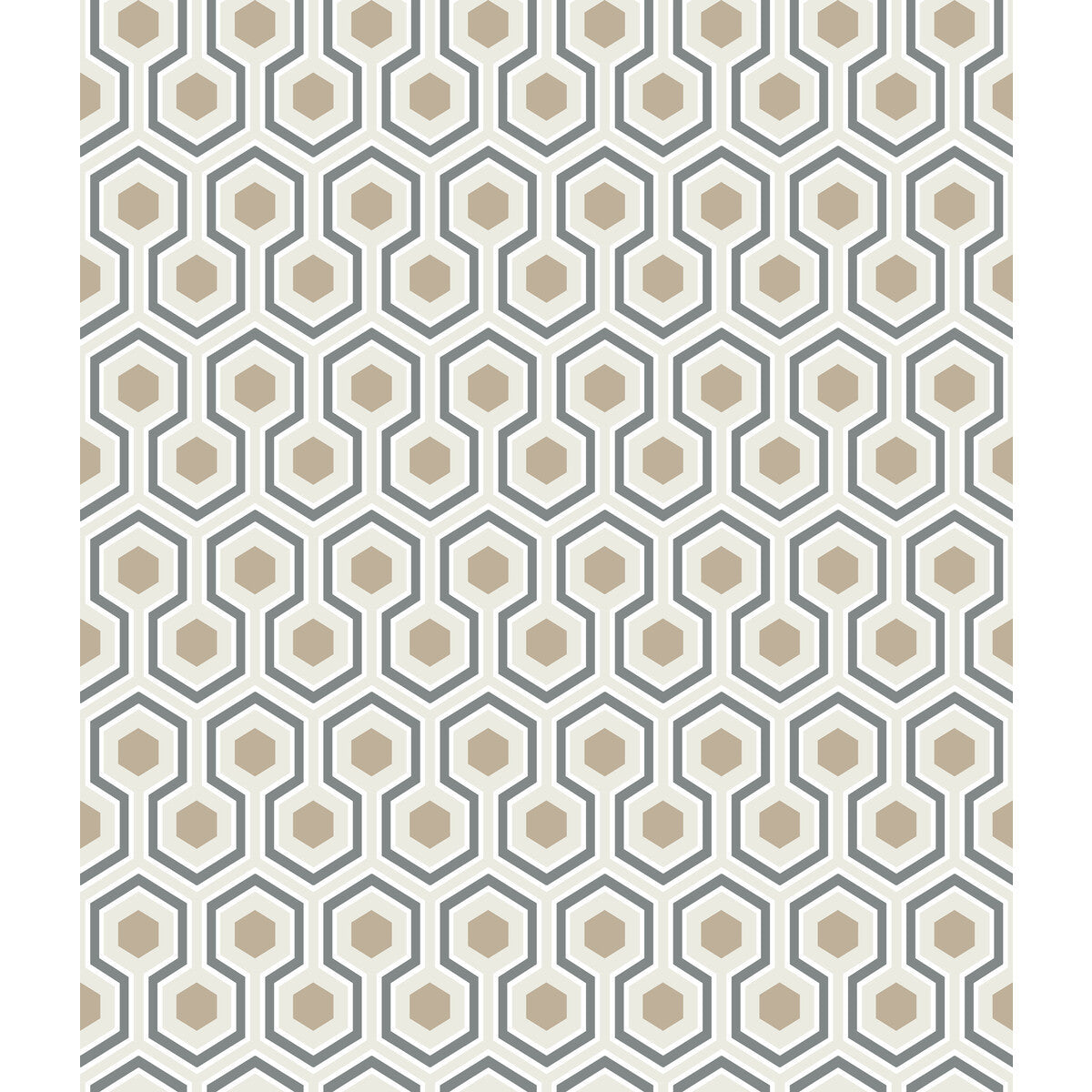 953016cs0-hicks-hexagon-gilverwtbk-cole-son