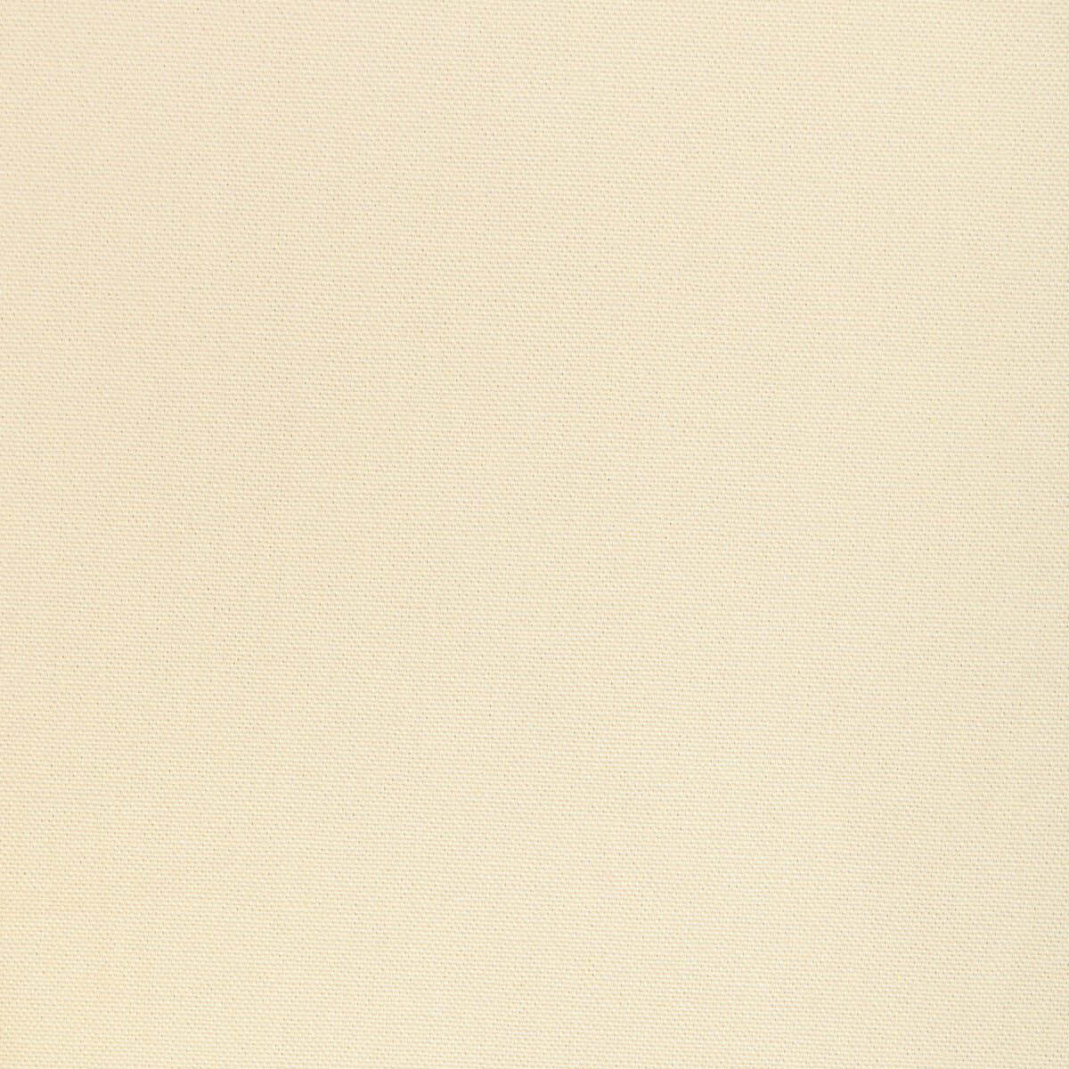 3665611160-kravet-basics-36656-1116 - KRAVET BASICS Fabric