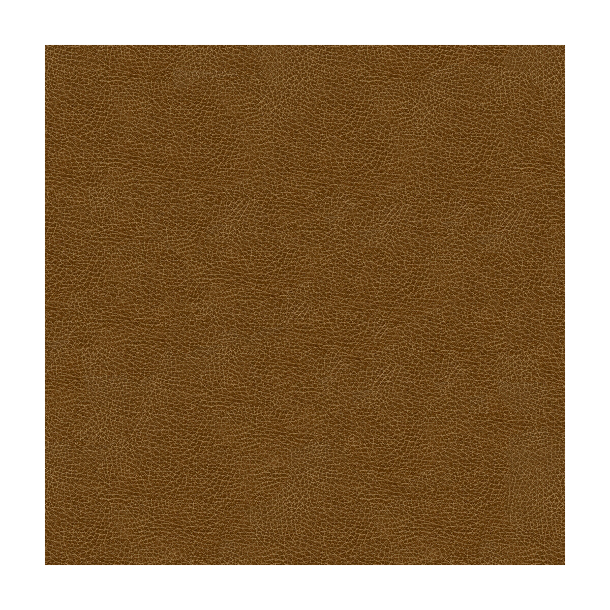 grana60-kravet-design-grana-6-kravet-design