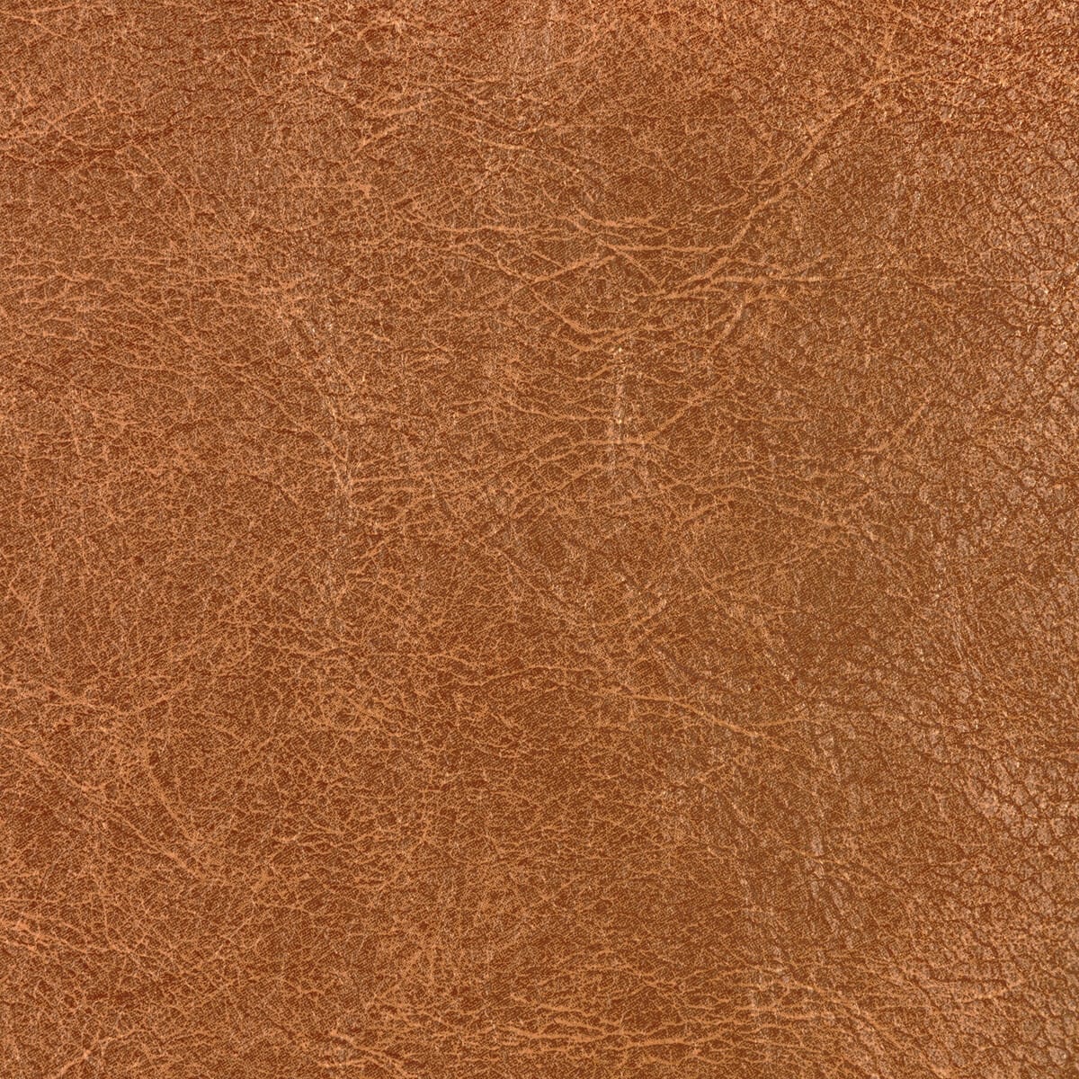 reboot6160-reboot-nutmeg-kravet-contract - KRAVET CONTRACT Fabric