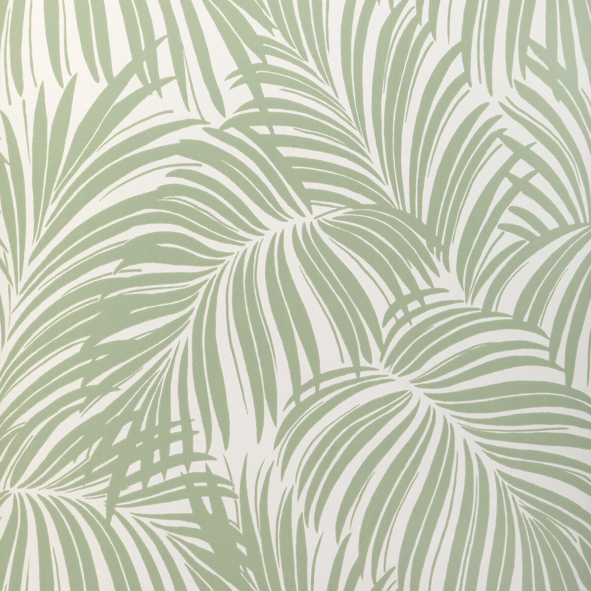 w4149300-palm-leaf-wp-light-green-kravet-couture - KRAVET COUTURE Wallpaper