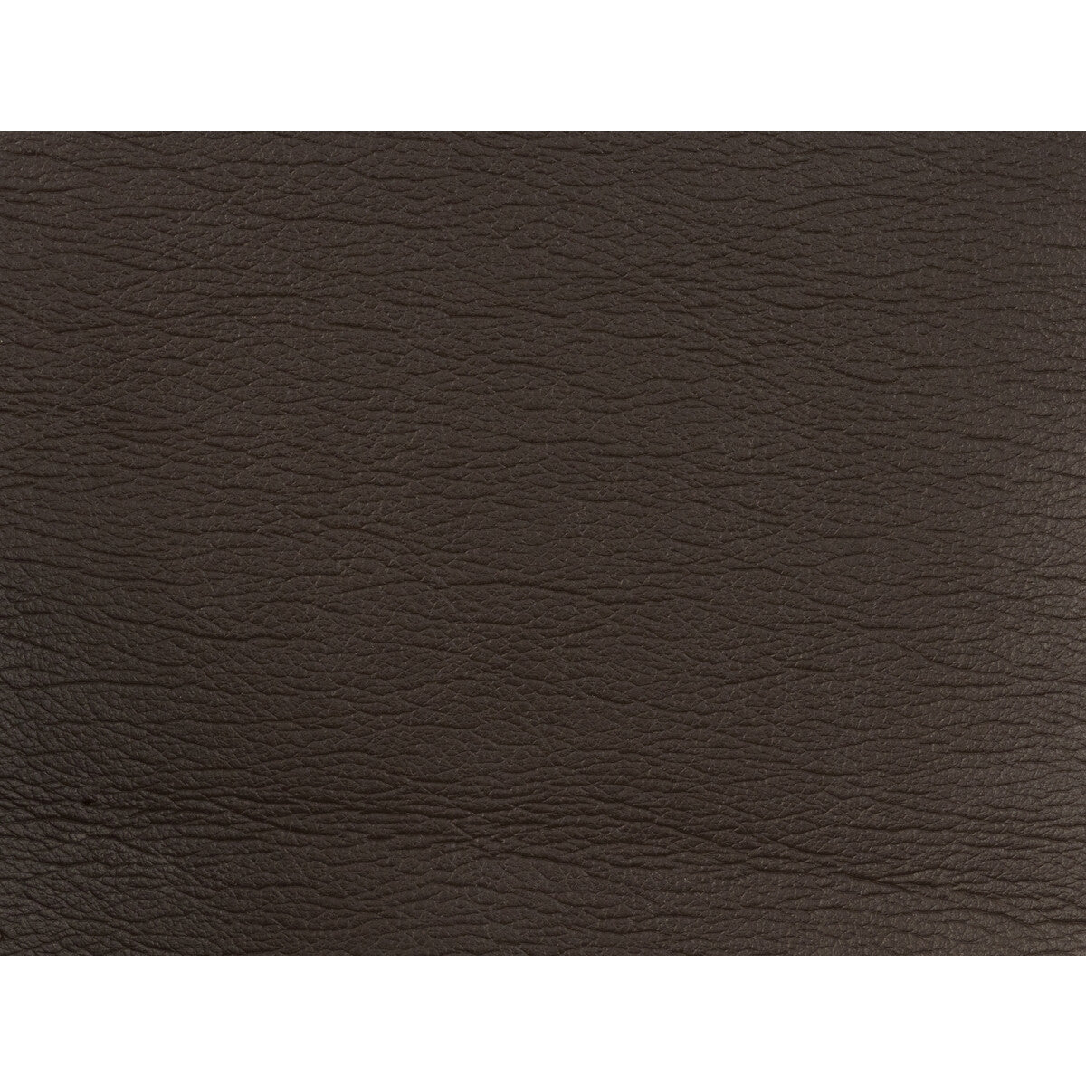 gato66660-kravet-design-gato-6666-kravet-design