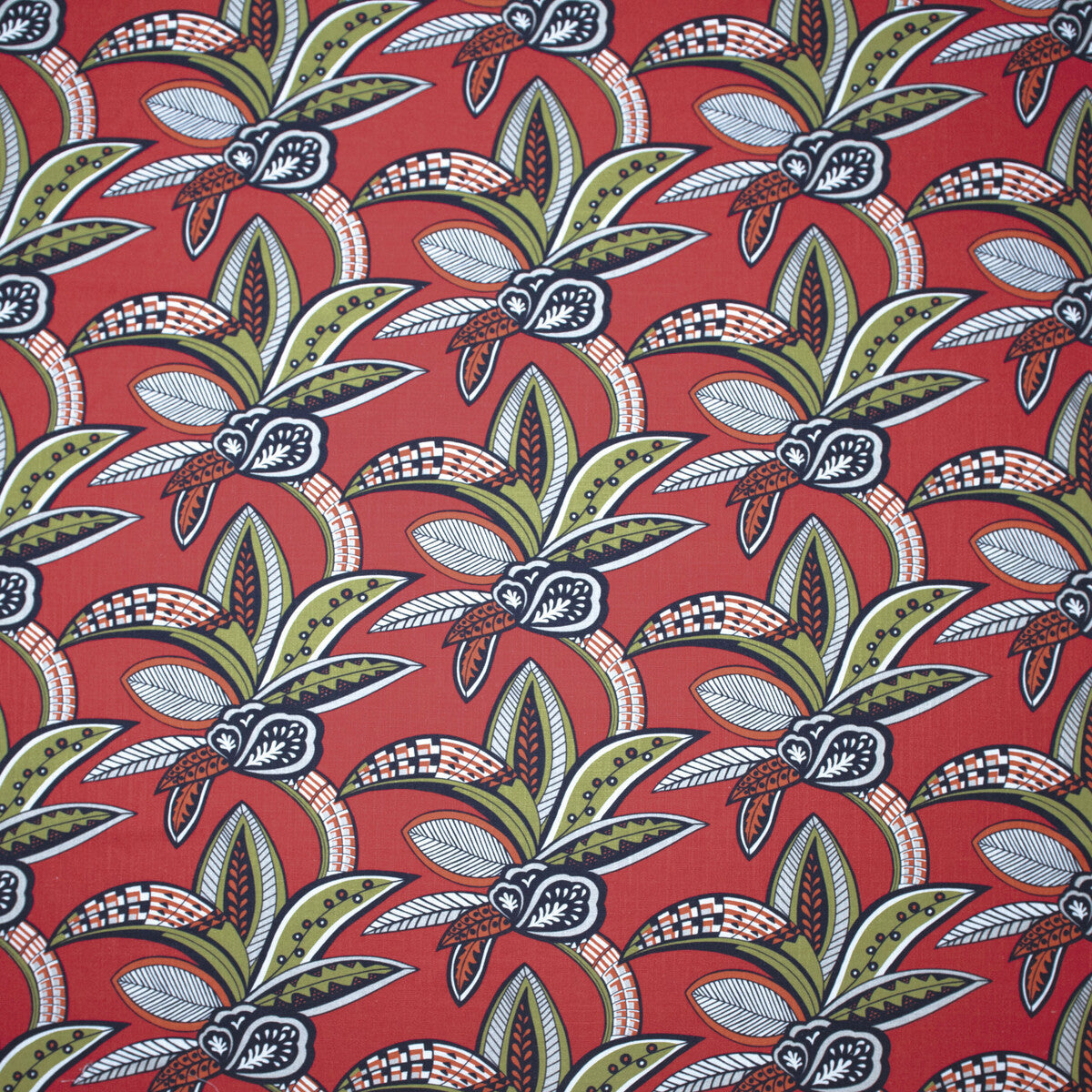 gdt542610-tanzania-coral-gaston-y-daniela