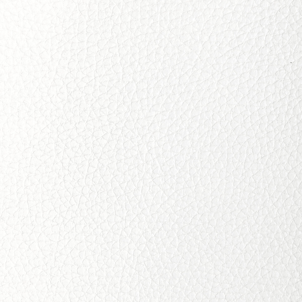 l-tucumpowder0-kravet-design-l-tucum-powder-kravet-design