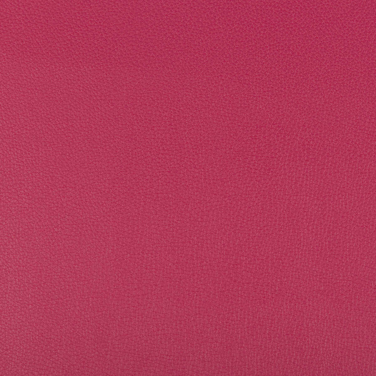 syrus70-syrus-fuschia-kravet-contract