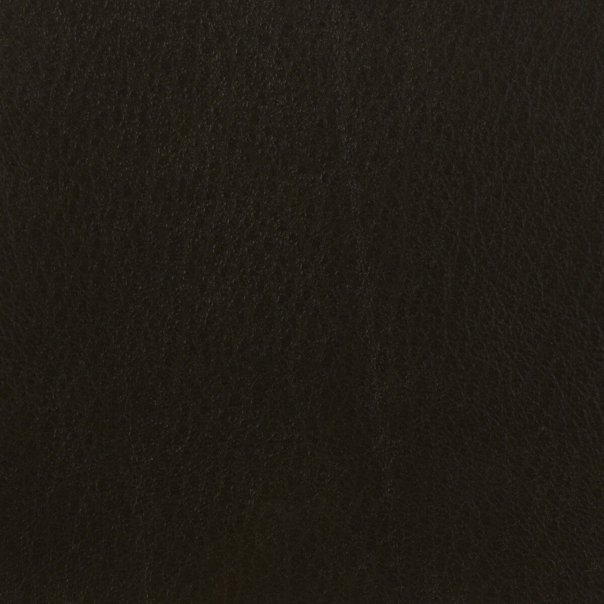 celine660-kravet-basics-celine-66