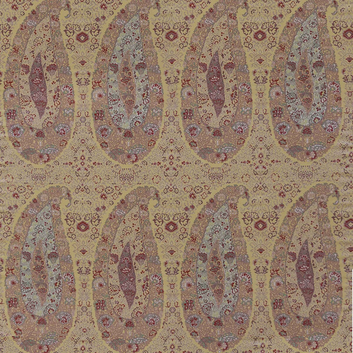 lct11570020-tesorero-amarillo-gaston-y-daniela