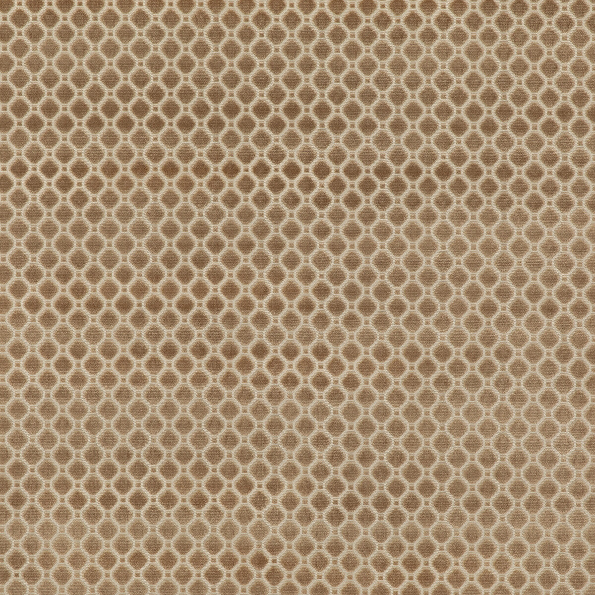 bf108261060-indus-velvet-oyster-g-p-j-baker
