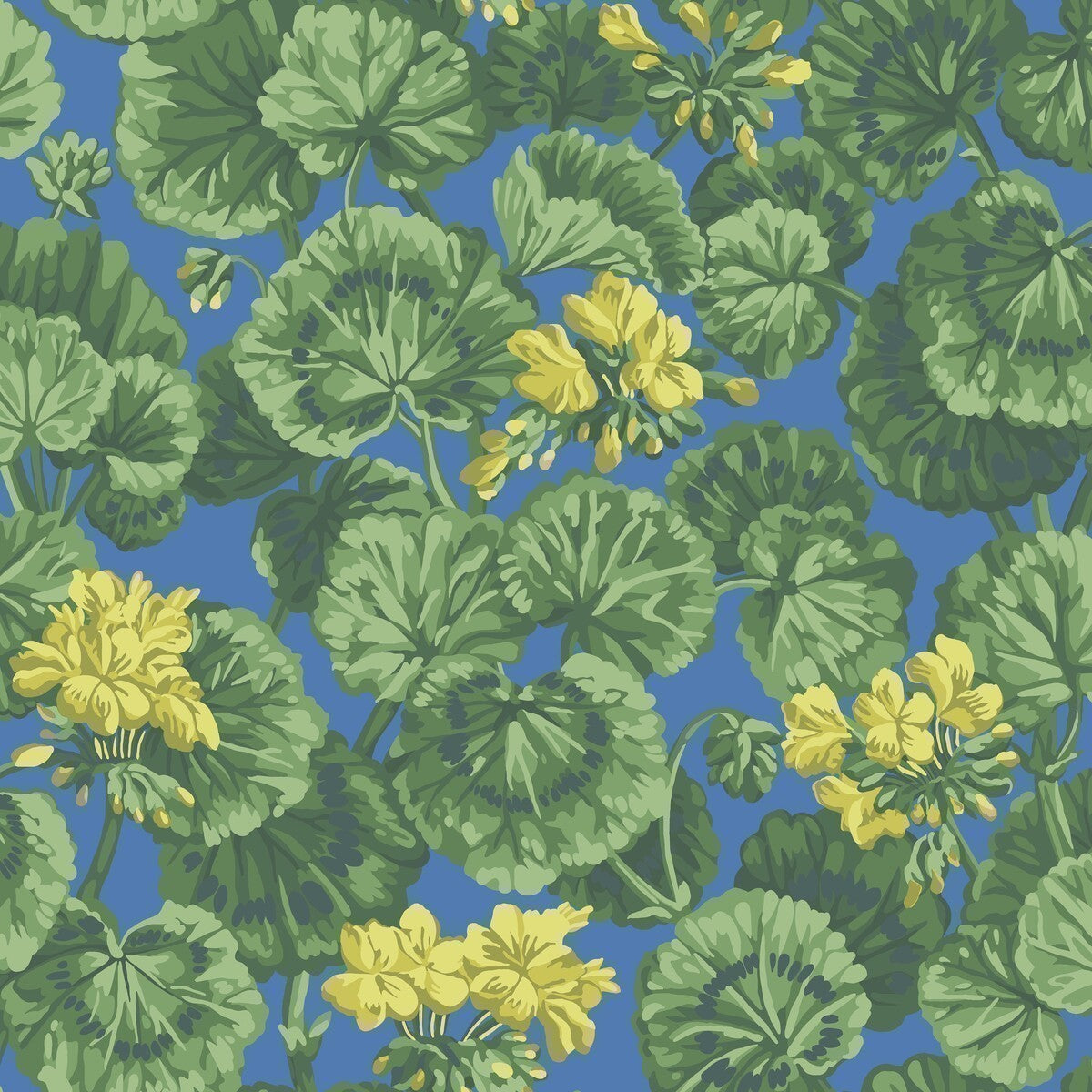 11711032cs0-geranium-lemonforest-greenelectric-blue-cole-son - COLE & SON Wallpaper