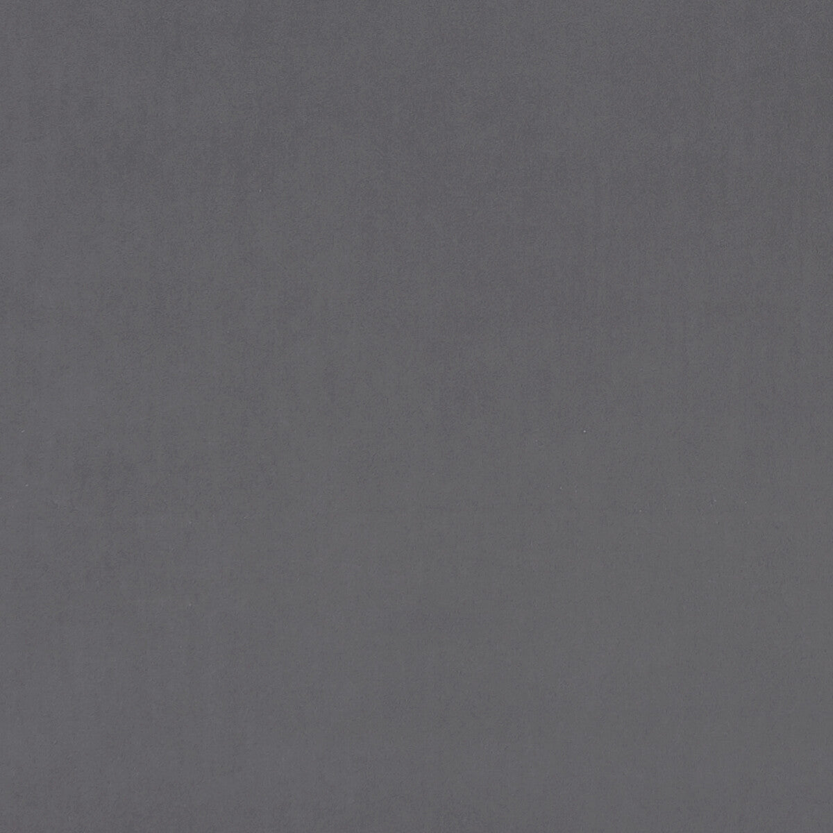 f075394cac0-alvar-seal-clarke-and-clarke - CLARKE AND CLARKE Fabric