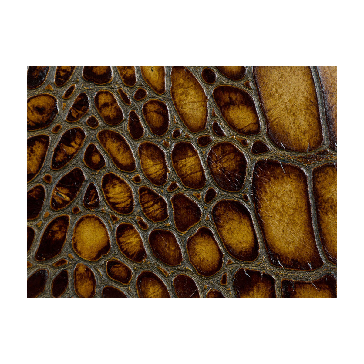 l-tuscanyhazelnut0-l-tuscany-hazelnut-kravet-couture