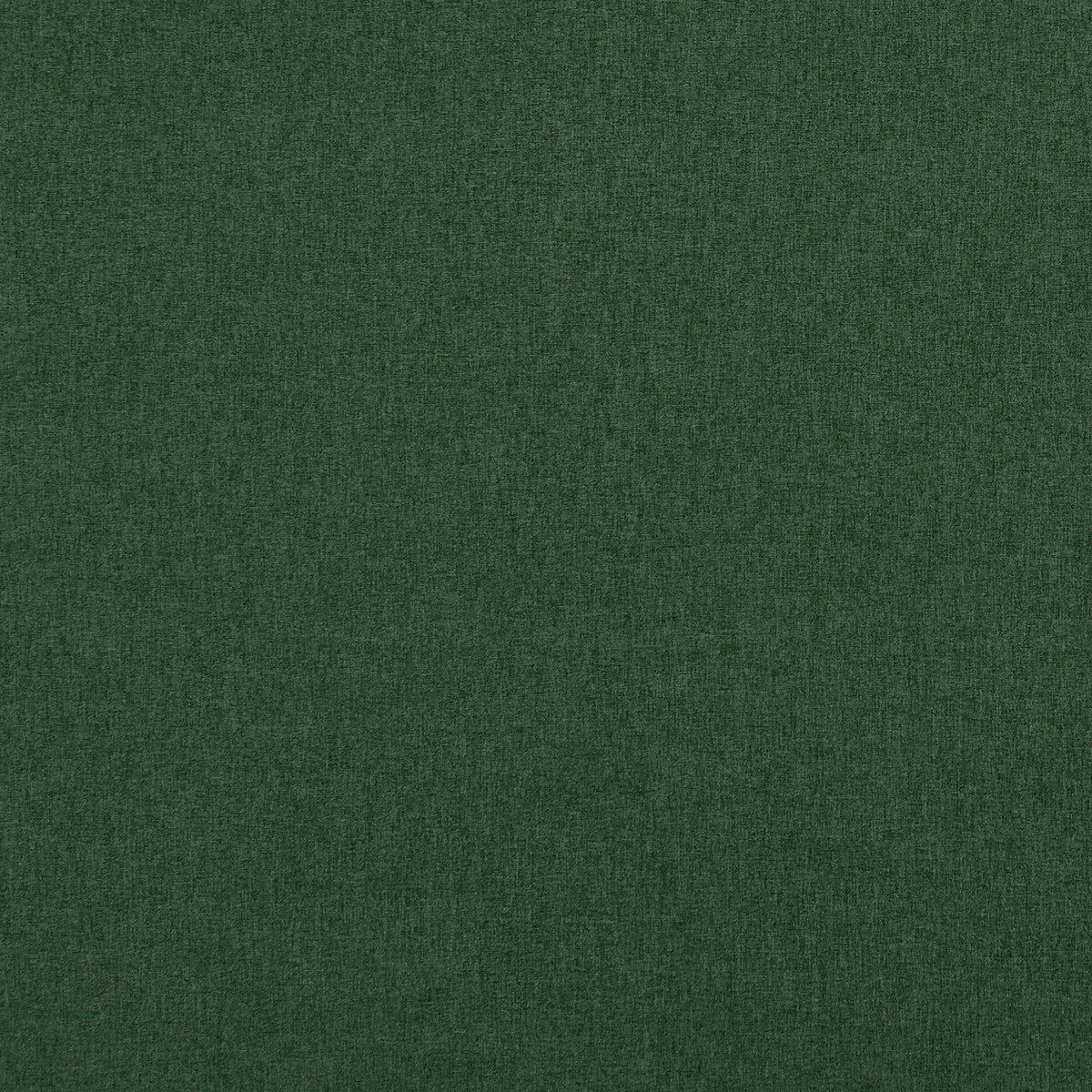 f084858cac0-highlander-moss-clarke-and-clarke - CLARKE AND CLARKE Fabric