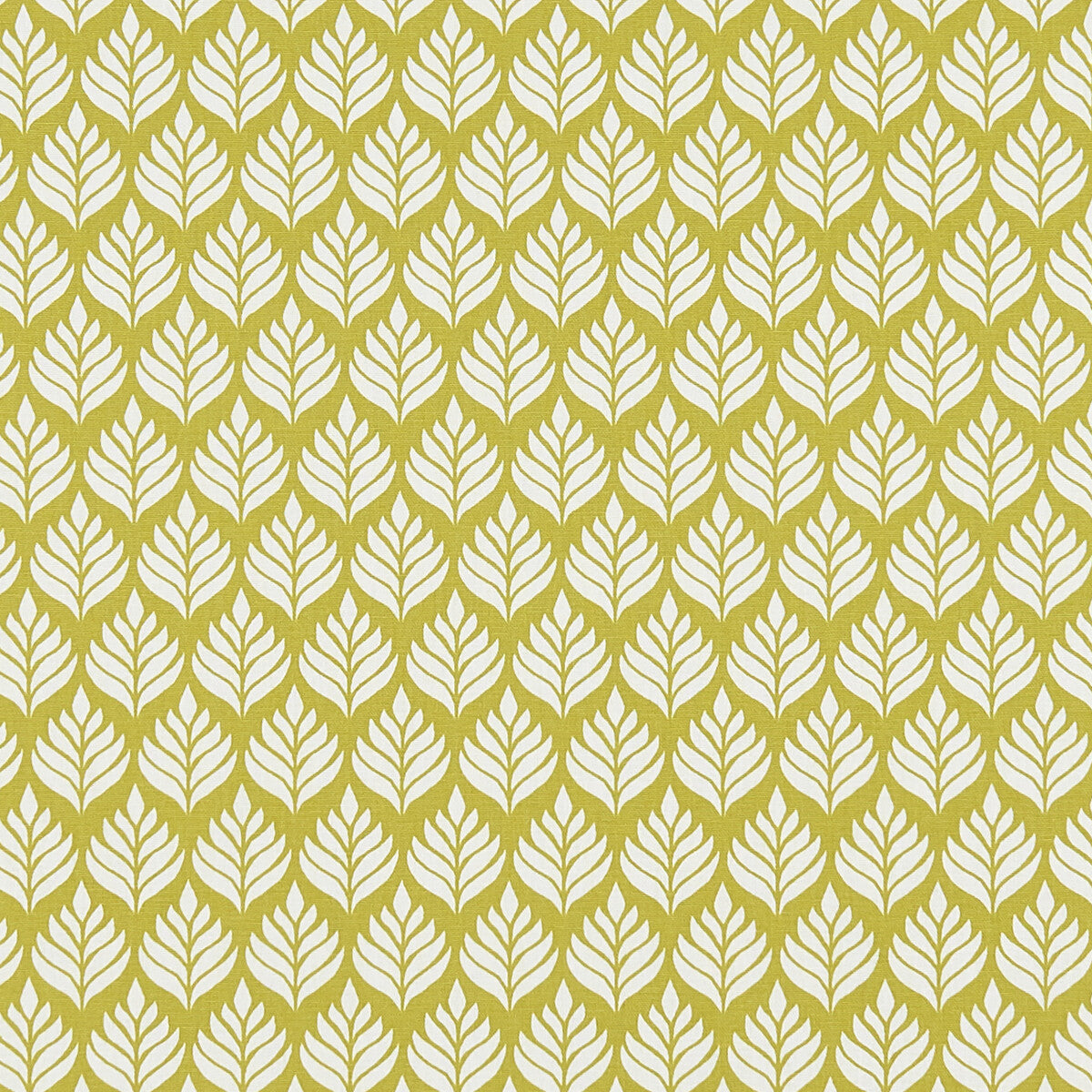 f137203cac0-elise-citrus-clarke-and-clarke