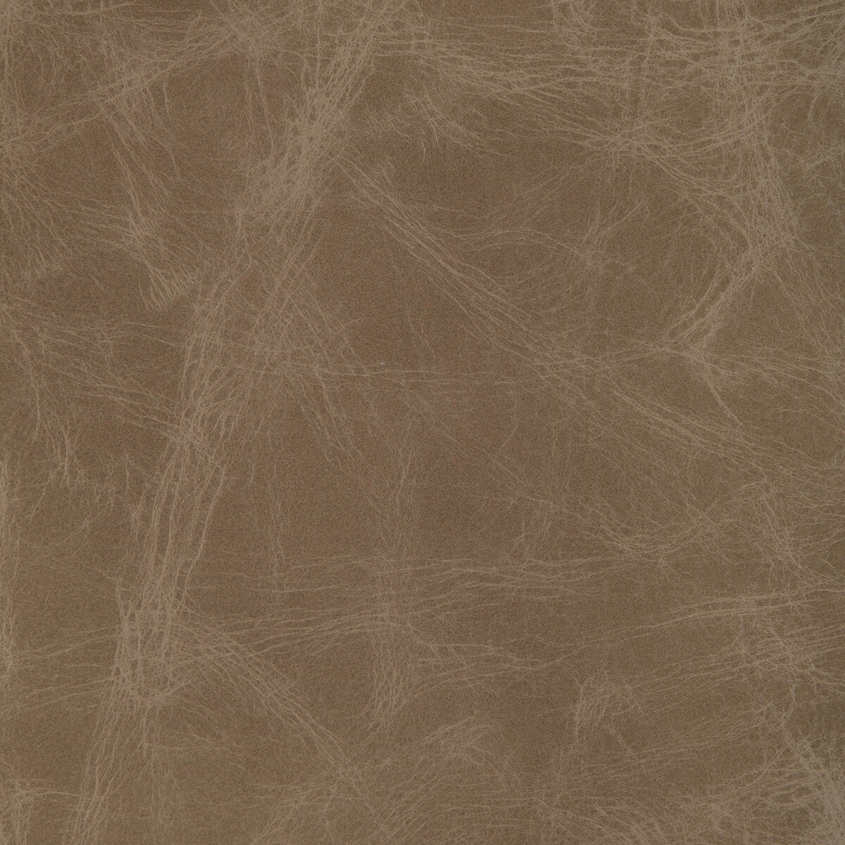 l-ovinefawn0-kravet-design-l-ovine-fawn-kravet-design