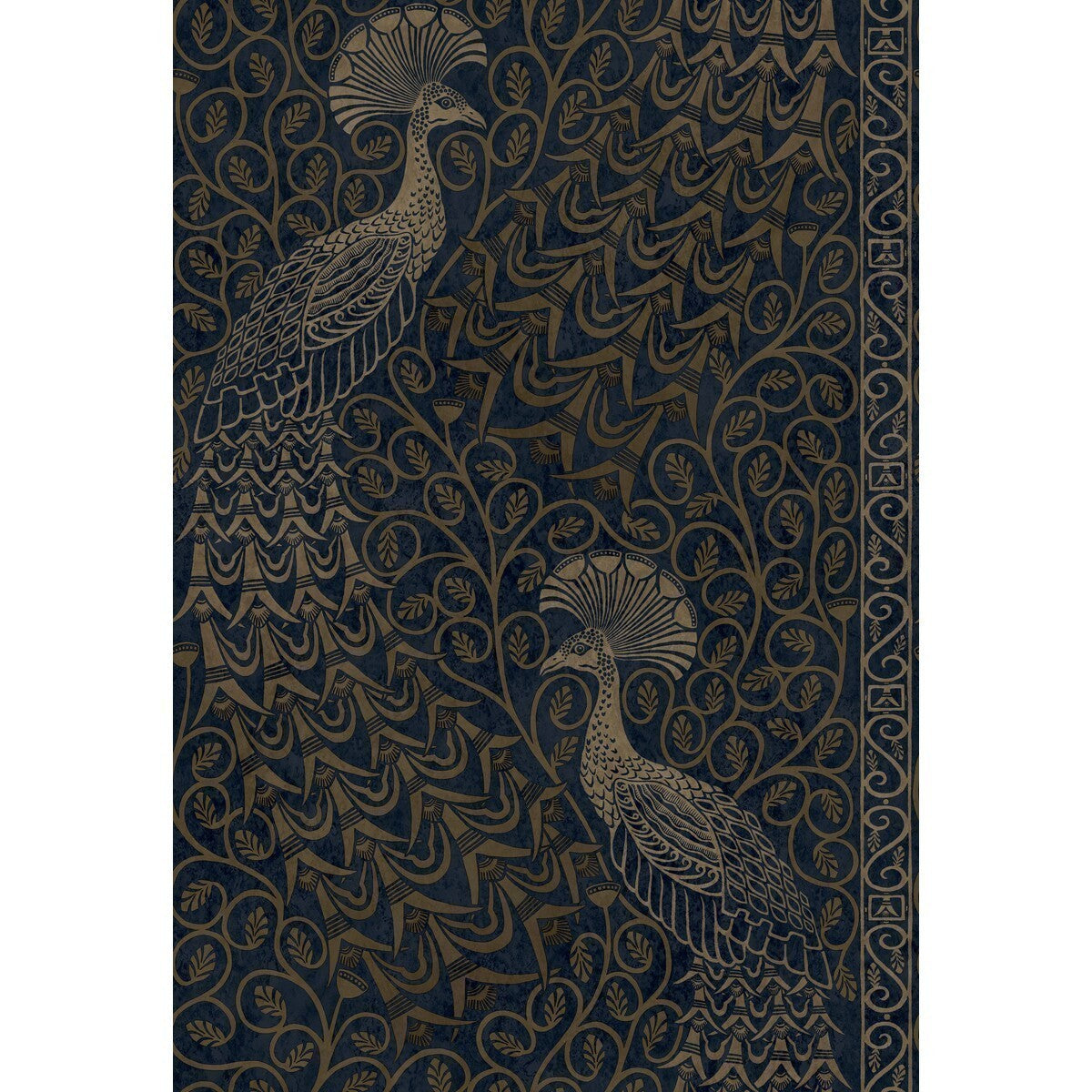 1168030cs0-pavo-parade-m-bronzemid-cole-son