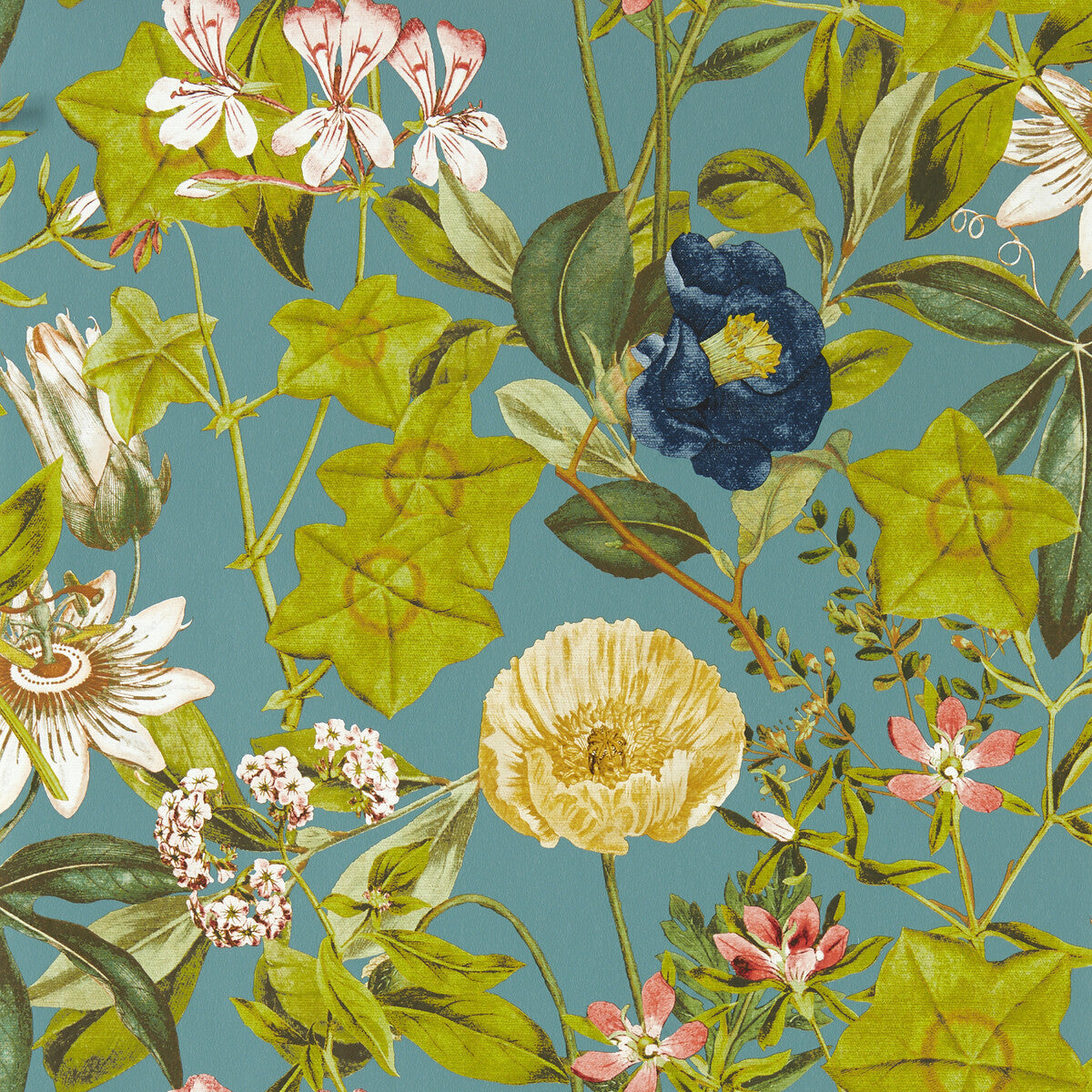 w014301cac0-passiflora-chambray-wp-clarke-and-clarke - CLARKE AND CLARKE Wallpaper
