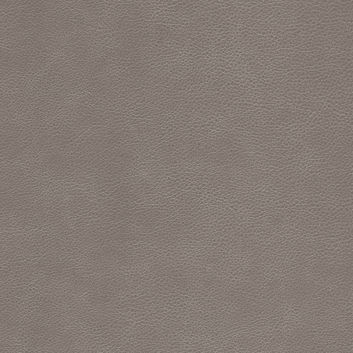 l-cimarronfawn0-kravet-design-l-cimarron-fawn-kravet-design