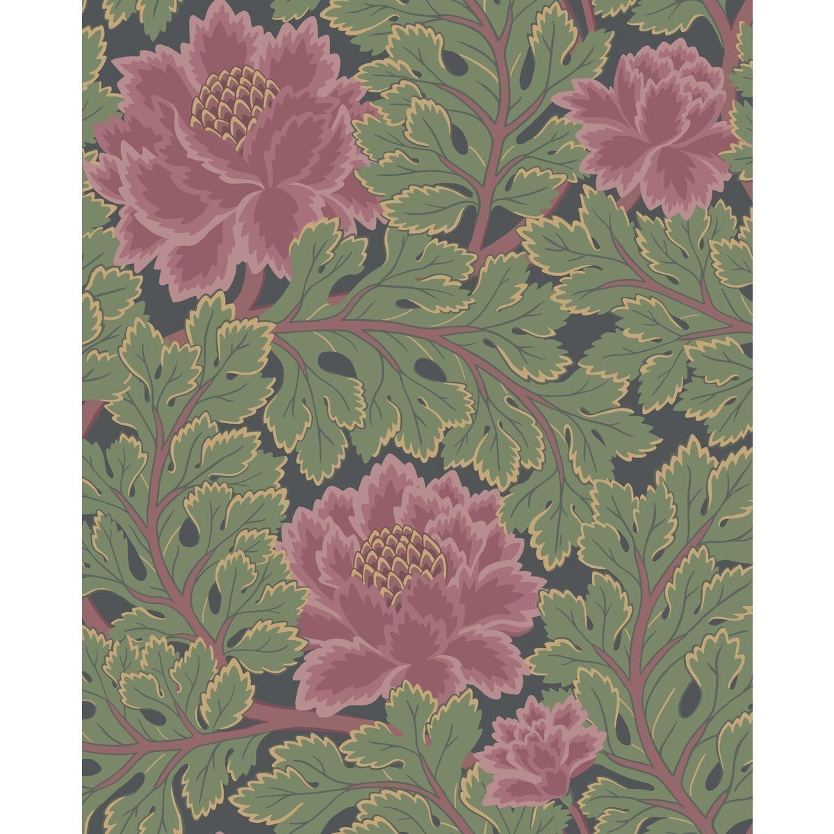 1161002cs0-aurora-wp-roseforestchar-cole-son