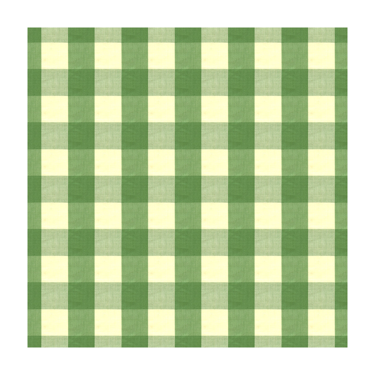 br-897254640-exchequer-cotton-check-jade-brunschwig-fils