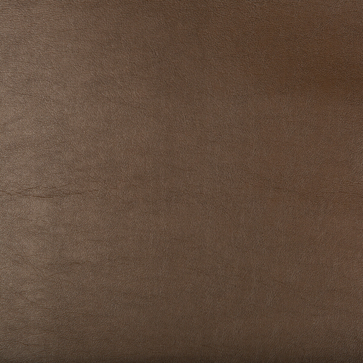 aristides660-kravet-design-aristides-66-kravet-design