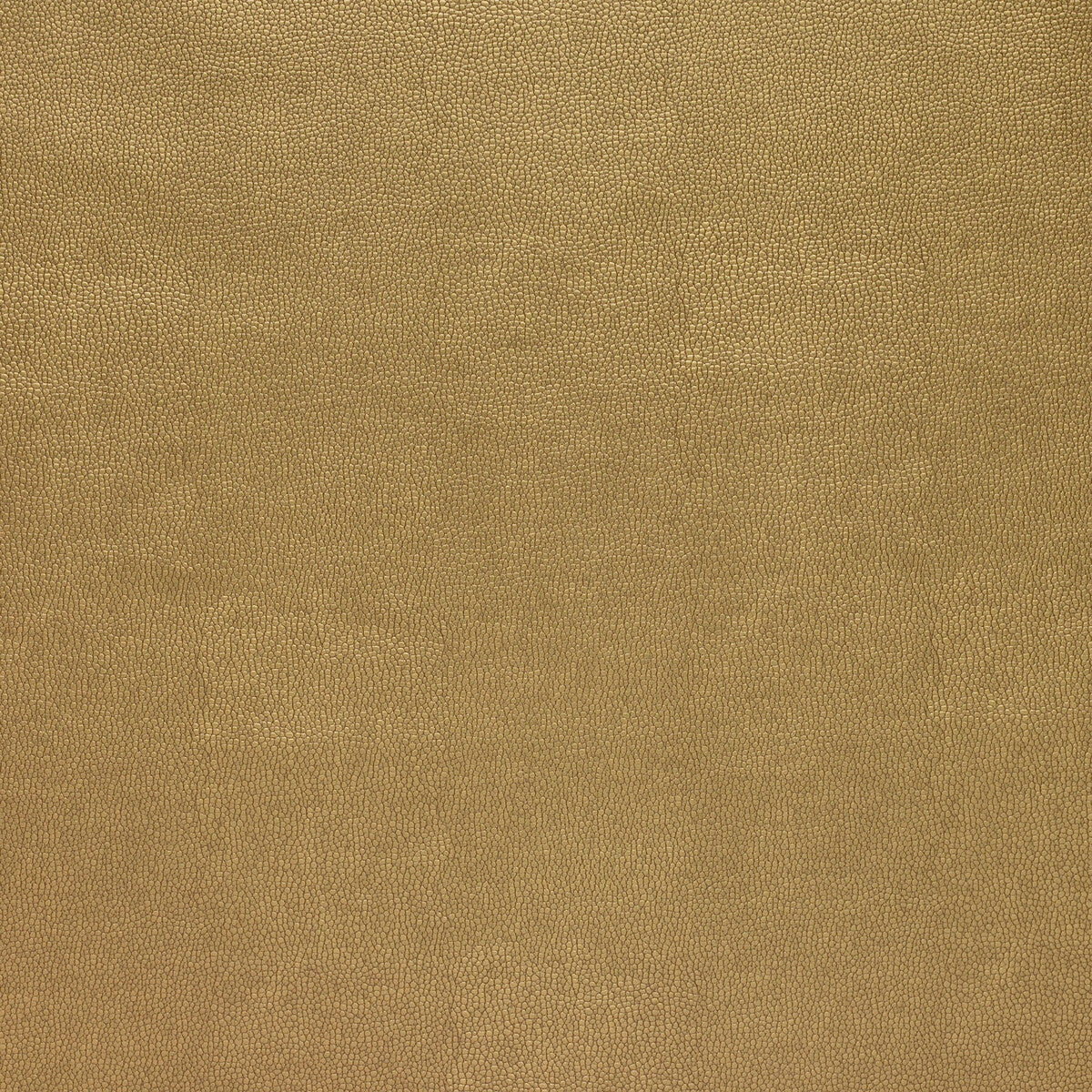 sparta4040-kravet-design-sparta-404-kravet-design