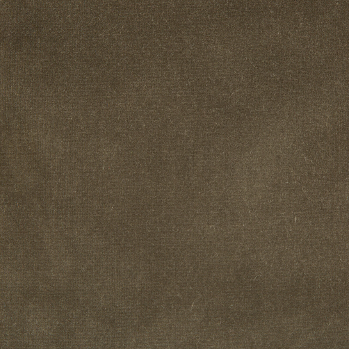 versaillese205040-versailles-e20504-kravet-design - KRAVET DESIGN Fabric