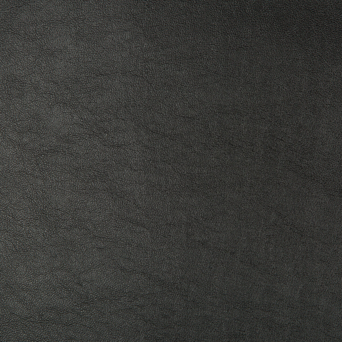 aristides80-kravet-design-aristides-8-kravet-design