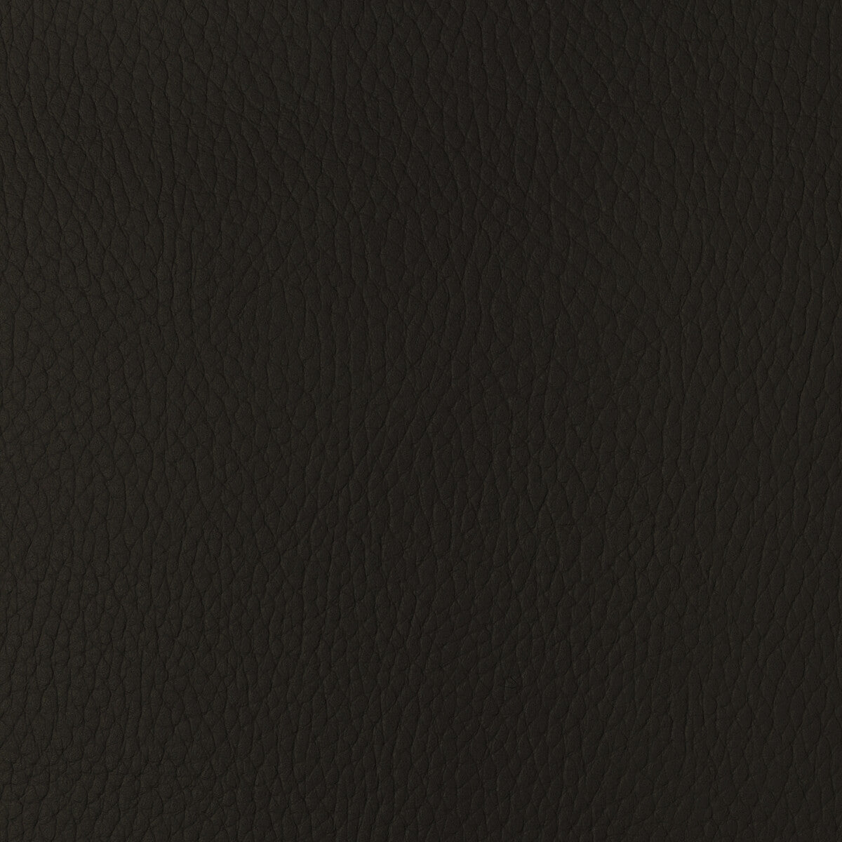 sugarmaple660-kravet-design-sugarmaple-66-kravet-design