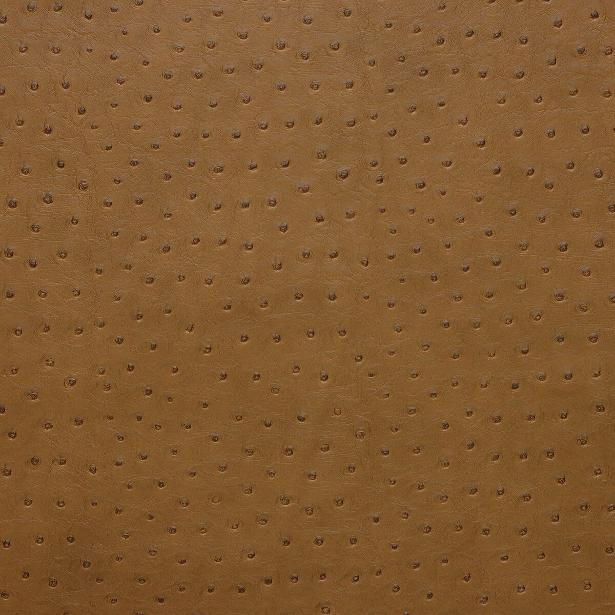 senna6160-kravet-design-senna-616-kravet-design