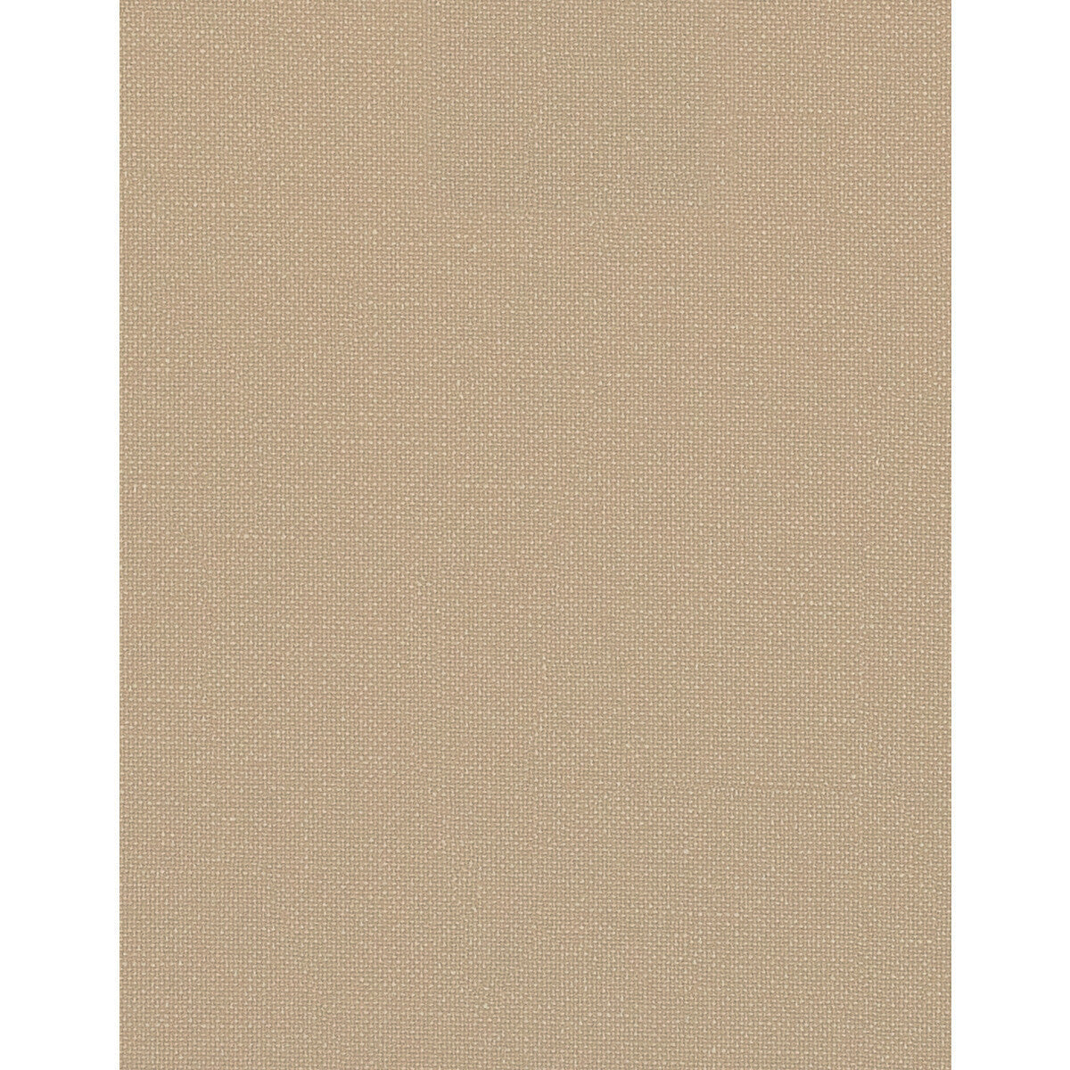 wtn1051wt0-opulence-tapioca-winfield-thybony - WINFIELD THYBONY Wallpaper