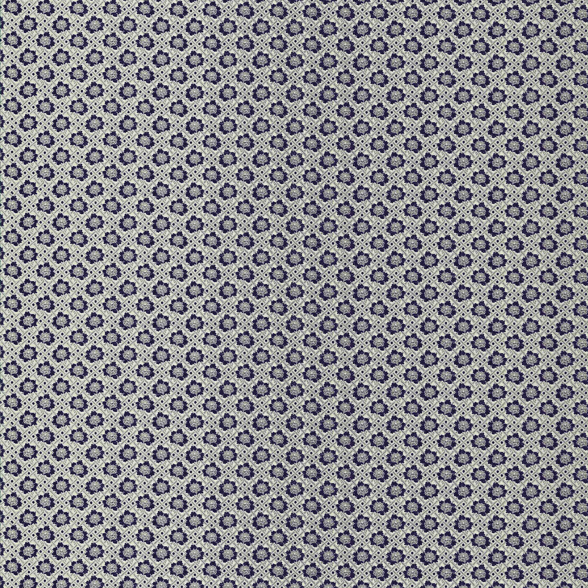 lct11490020-espinela-antracita-gaston-y-daniela