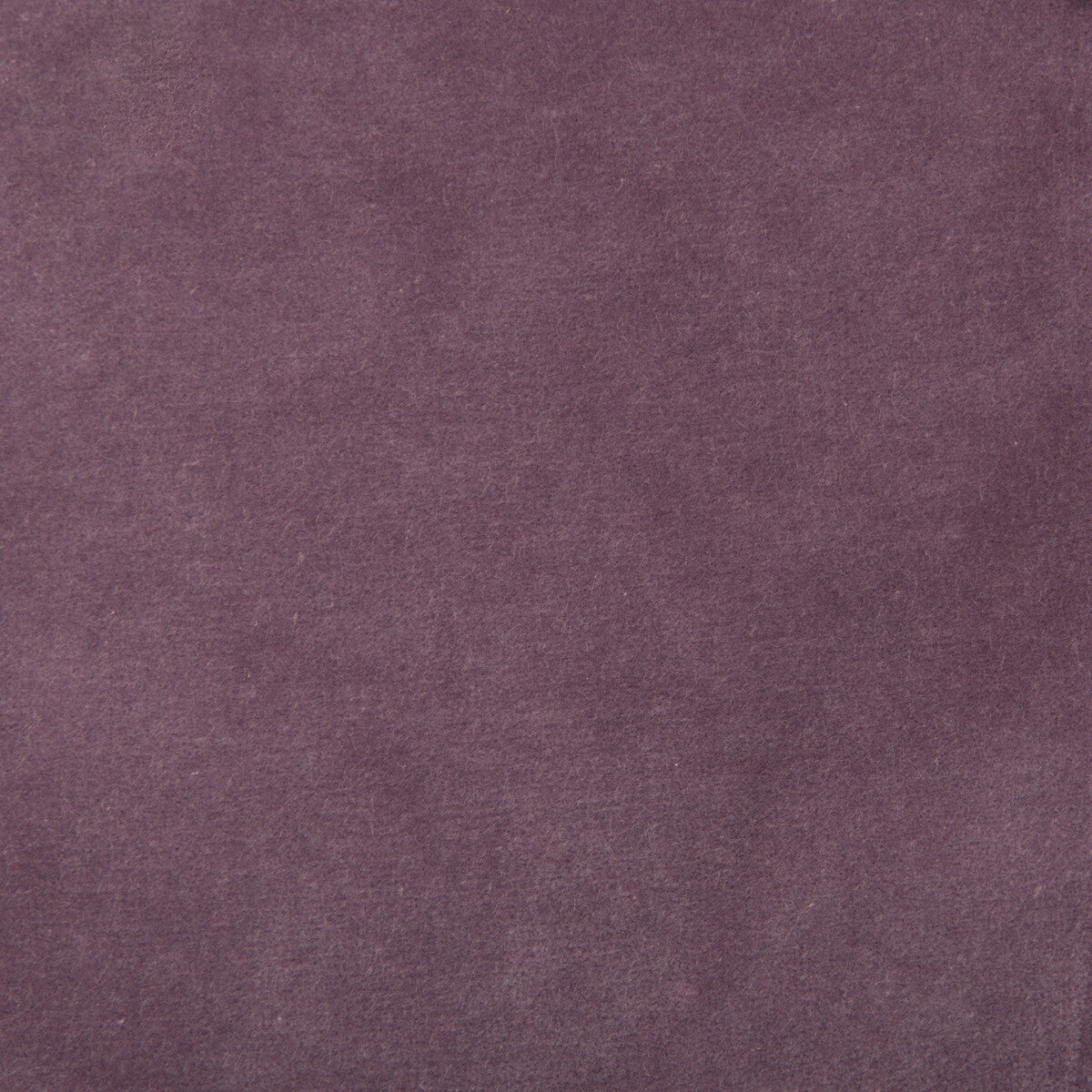353661100-kravet-design-35366-110-kravet-design