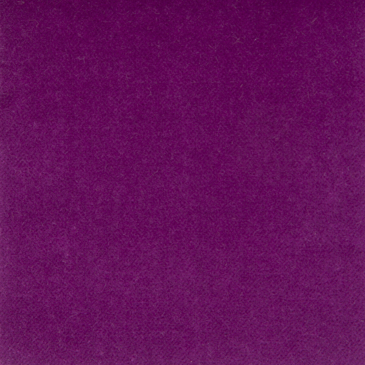 gdt52300050-venecia-berenjena-gaston-y-daniela