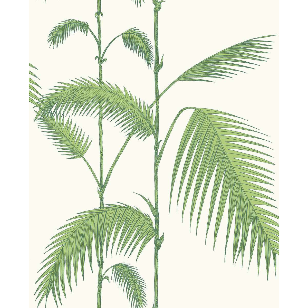 951009cs0-palm-leaves-greenwhite-cole-son - COLE & SON Wallpaper