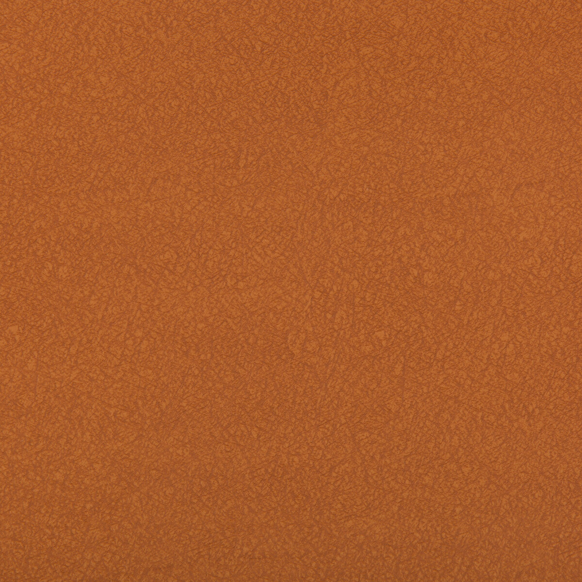 ames240-ames-canyon-kravet-contract