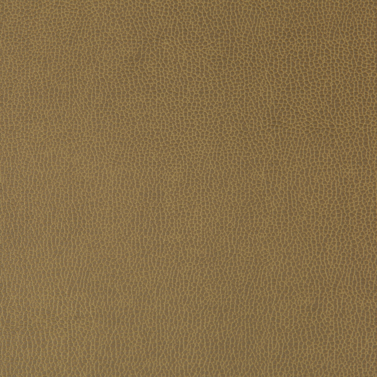 lenox31060-lenox-sparrow-kravet-contract