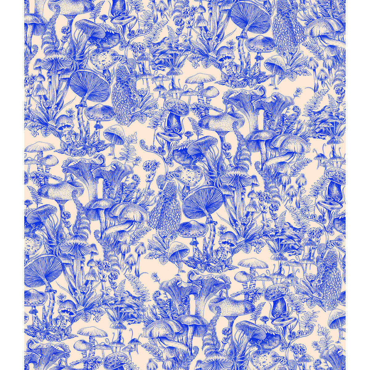 1221002cs0-fungi-forest-navy-cole-son