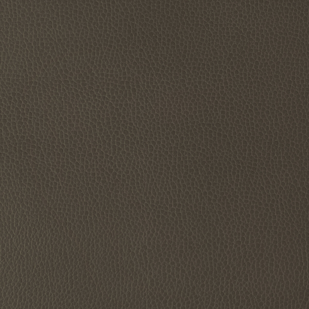 gillian66660-kravet-design-gillian-6666-kravet-design