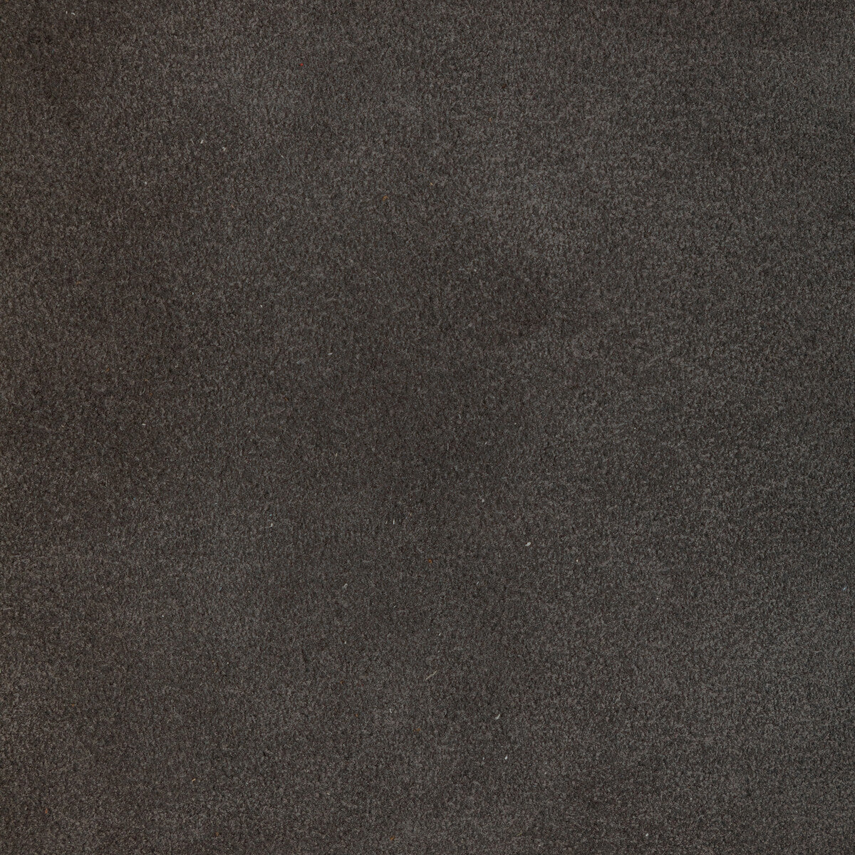 l-perchashadow0-kravet-design-l-percha-shadow-kravet-design