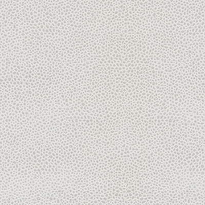 edgy-shark110-edgy-shark-platinum-kravet-couture - KRAVET COUTURE Fabric