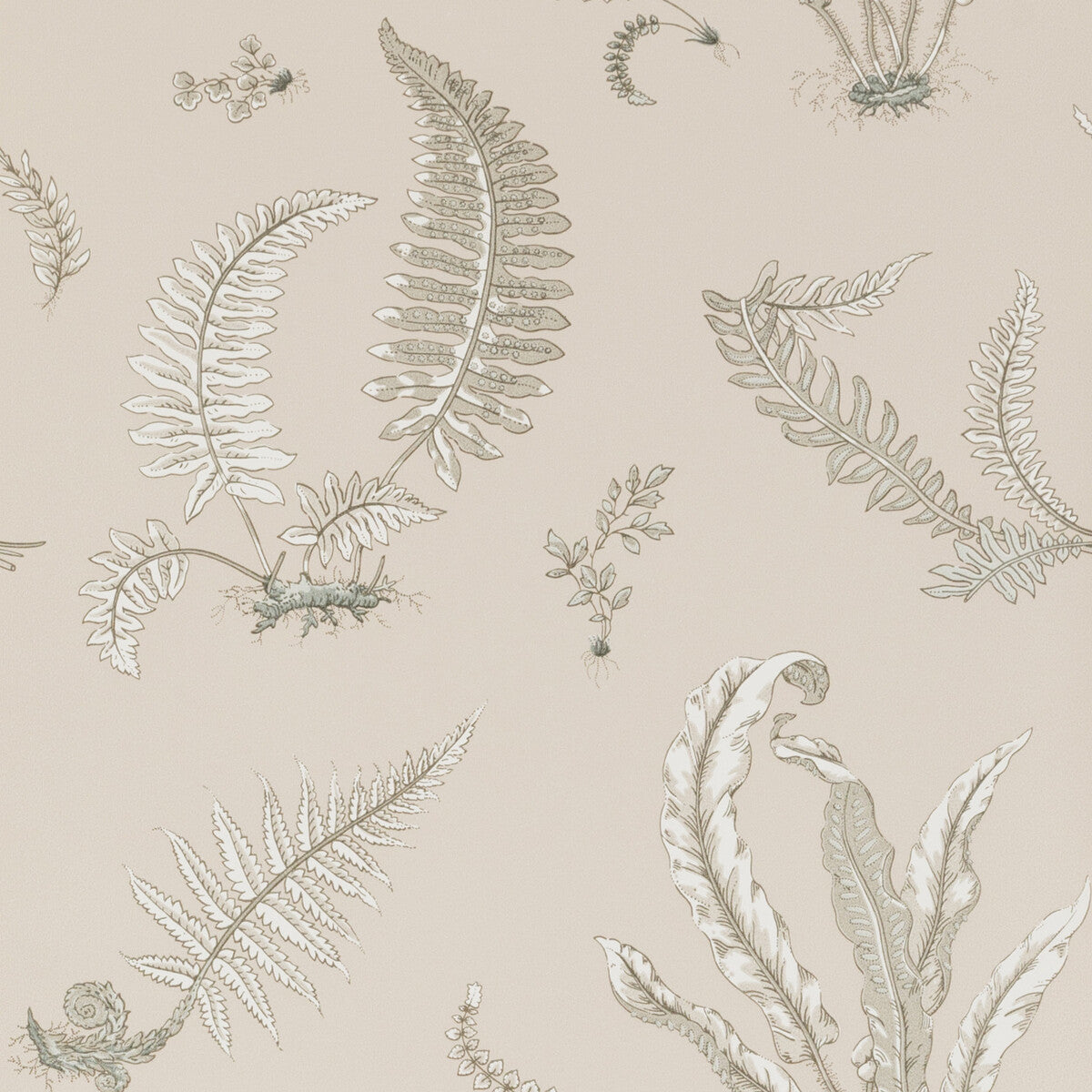 bw4504480-ferns-linen-g-p-j-baker