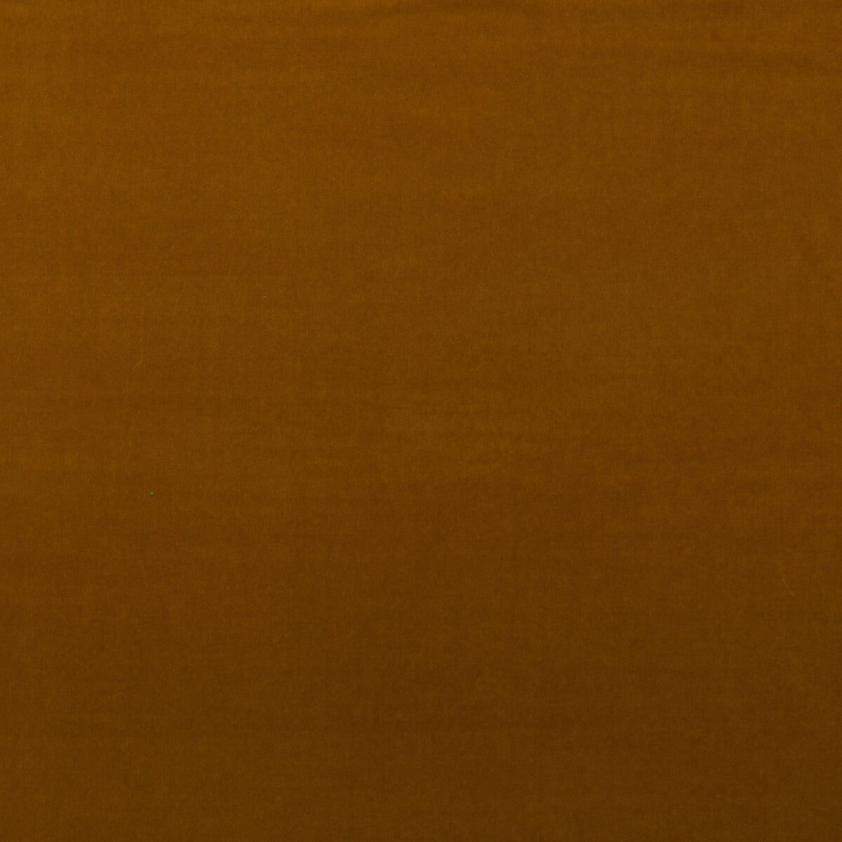 am1004434120-medici-mustard-kravet-couture