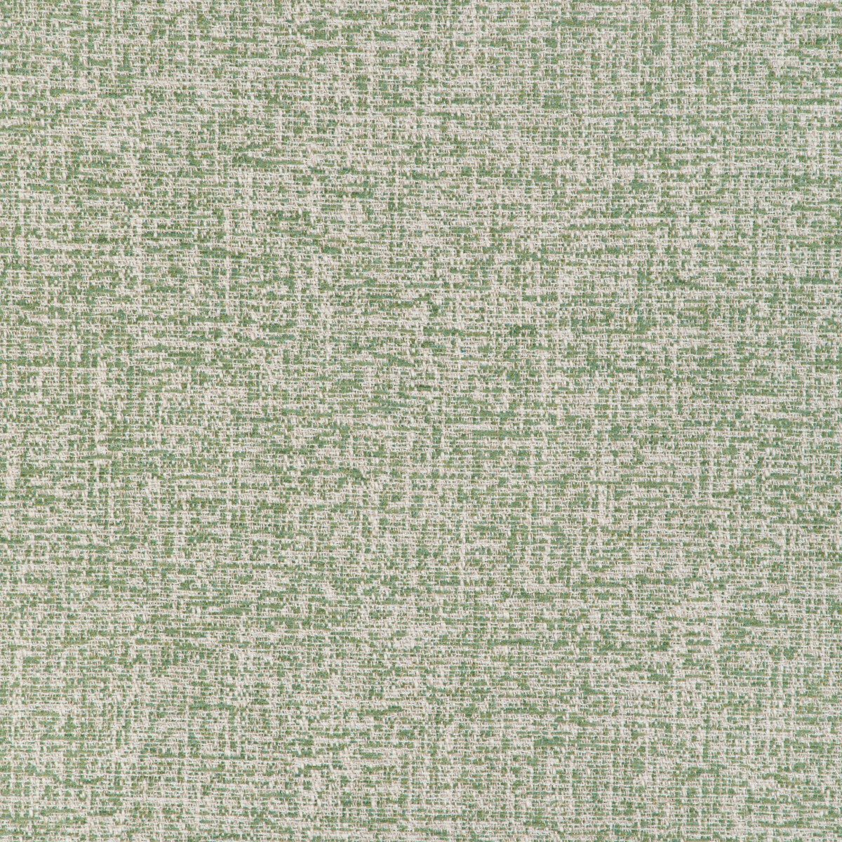 3729830-esteban-leaf-kravet-basics