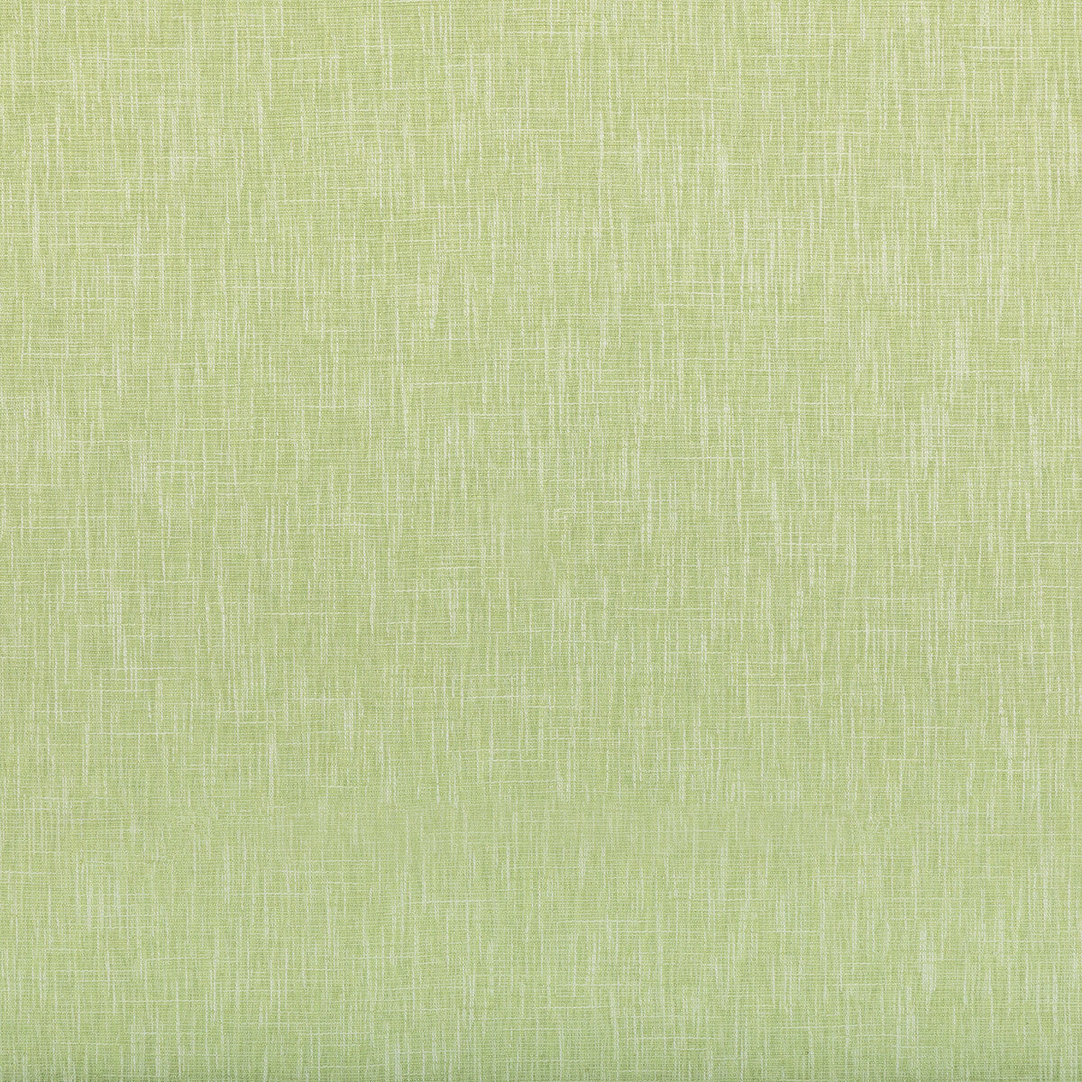 3592330-maris-pear-kravet-basics - KRAVET BASICS Fabric